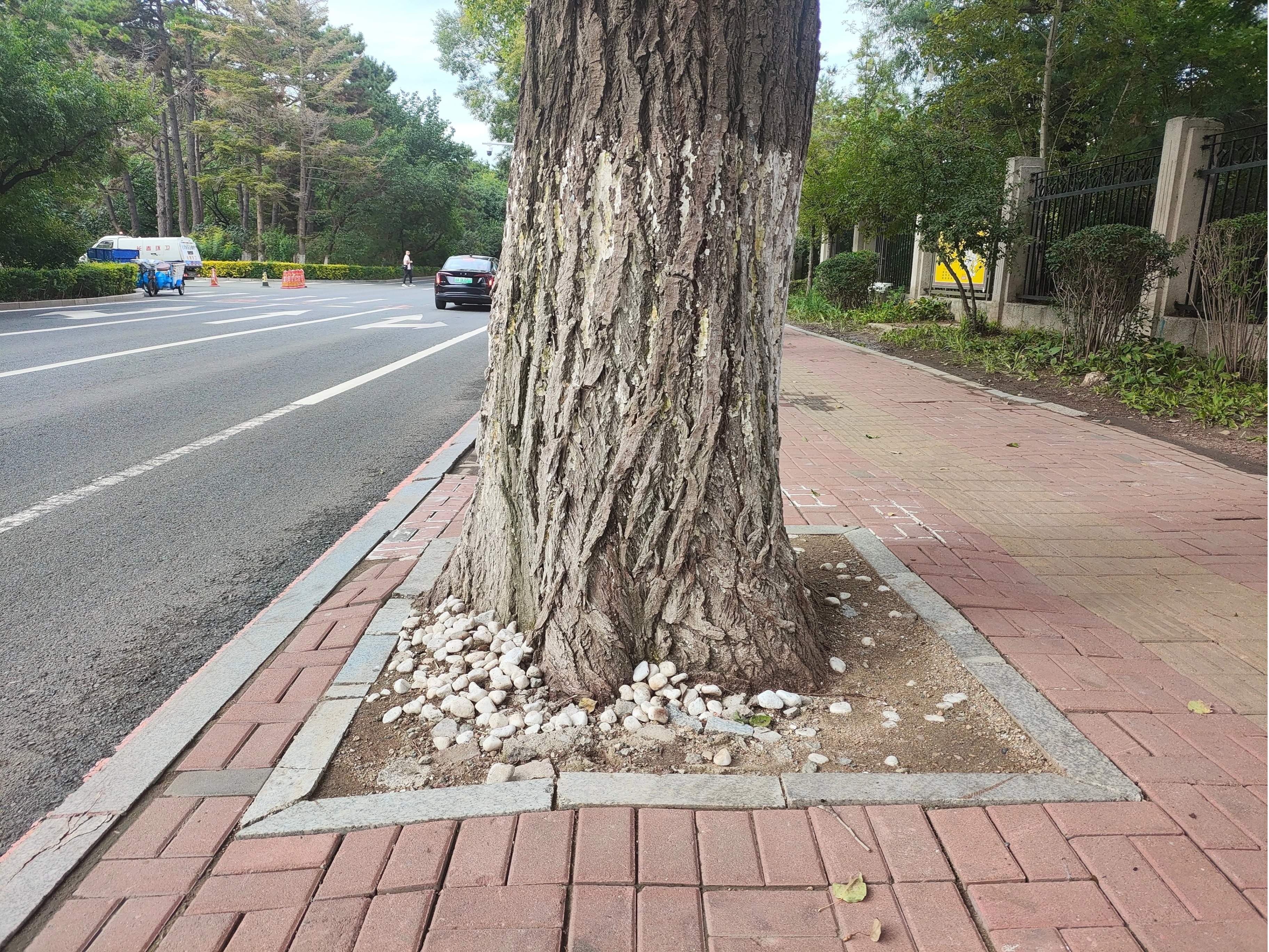 稿定設計-5 稿定設計-5