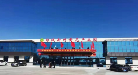 大同黃花，忘憂云州——云州區(qū)積極申創(chuàng)國家農(nóng)業(yè)現(xiàn)代化示范區(qū)