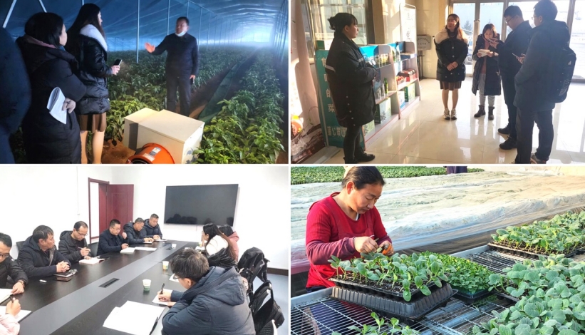 我院農(nóng)業(yè)規(guī)劃所到山西長子縣調(diào)研,助力開展國家現(xiàn)代農(nóng)業(yè)產(chǎn)業(yè)園申報(bào)工作